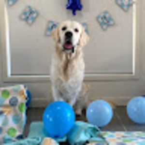 Meet your Posher, Eve